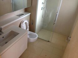 The Viridian (D12), Apartment #456402041